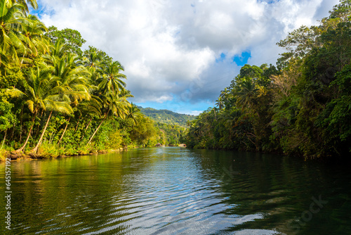 Tropical jungle river - Loboc river. Bohol, Philippines