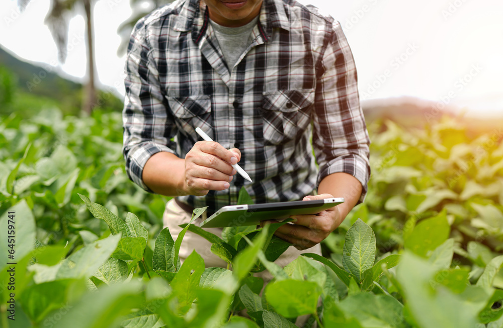 Obraz premium Hands of farmer, Agriculture technology farmer man using tablet Modern technology concept agriculture.