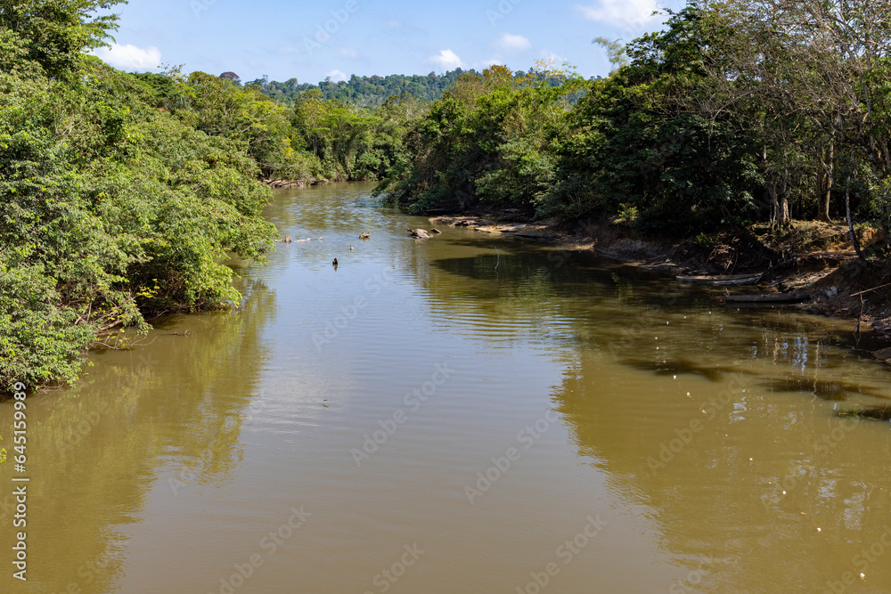 Beautiful lush green landscape along the famous earth road Transamazonica towards Santarém through the Amazon rainforest in dry season in northern Brazil, South America