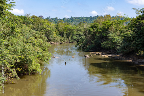 Beautiful lush green landscape along the famous earth road Transamazonica towards Santarém through the Amazon rainforest in dry season in northern Brazil, South America