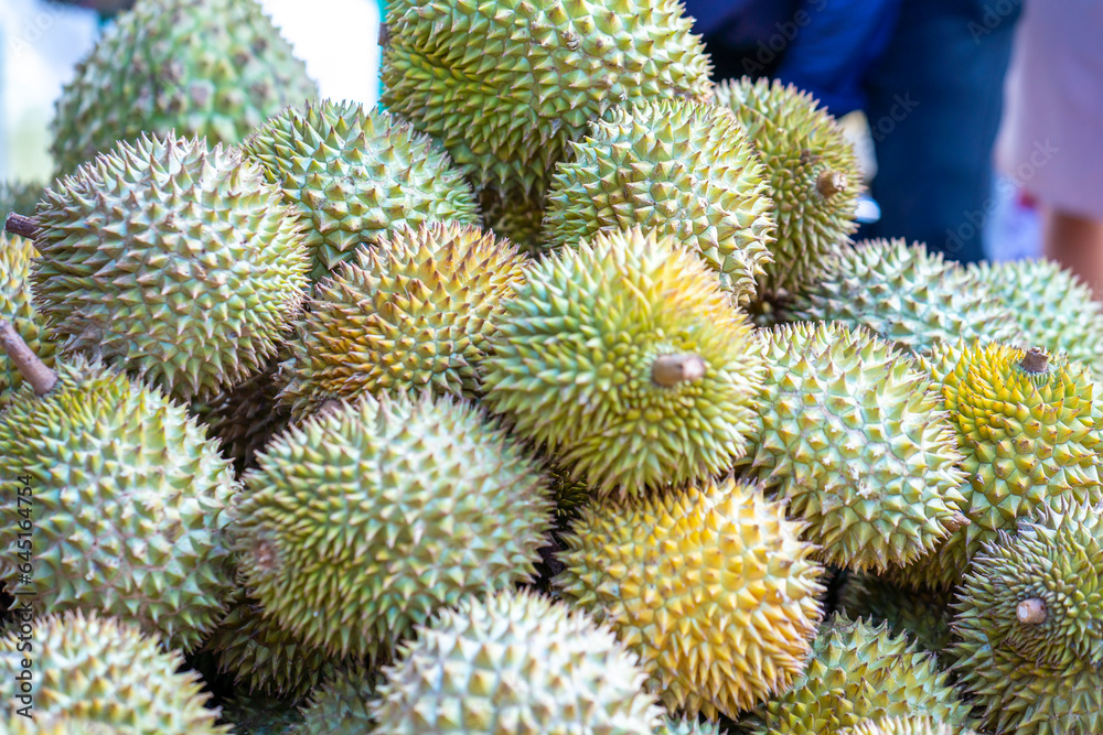 Durians fruit for sale at the market, Vietnam fruit, specialty from Cai Lay region, Tien Giang Durians fruit for sale at the market, Vietnam fruit, specialty from Cai Lay region, Tien Giang