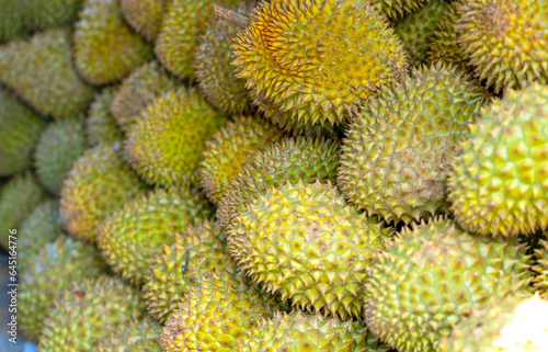Durians fruit for sale at the market, Vietnam fruit, specialty from Cai Lay region, Tien Giang © huythoai