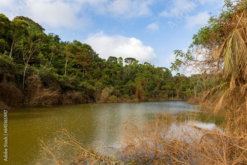 Beautiful lush green landscape along the famous earth road Transamazonica towards Santarém through the Amazon rainforest in dry season in northern Brazil, South America