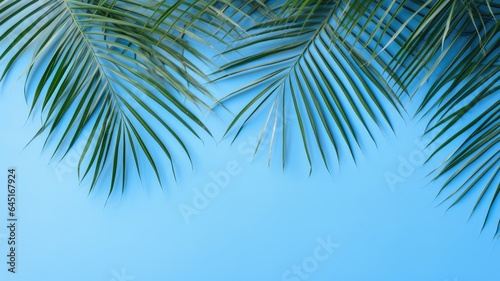 Palm leaf shadow  blue wall  summer background