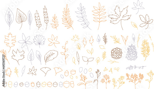 線画。秋の植物のベクターイラスト。秋の葉っぱと木の実イラスト。季節のカードデザイン。Line drawing. Autumn plants vector illustration. Autumn leaves and nuts illustration. Seasonal card design.
