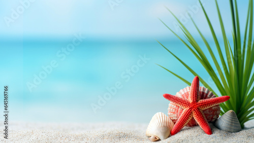 Seashells, red starfish and palm leaf on the white sand with blurred beach ocean sea background. High quality photo