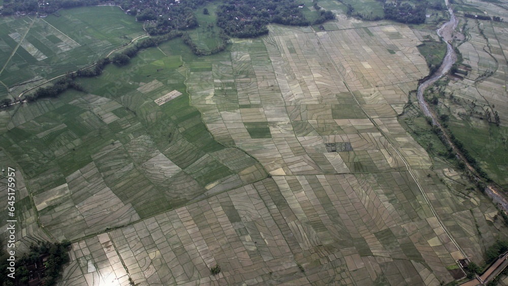 Fototapeta premium Aerial view, landscape of rice fields natural conditions typical of tropical season.
