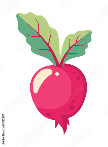 radish fresh vegetable icon