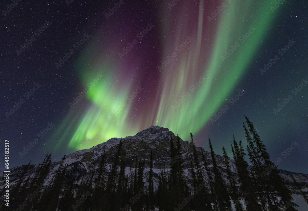 The aurora borealis or northern lights dances over Mount Dillon in the central Brooks Range, Alaska, USA.