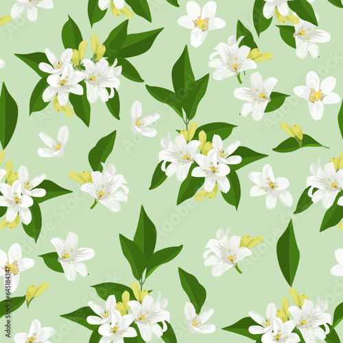 A seamless pattern of Orange jasmine flower. vector illustration. flower background.