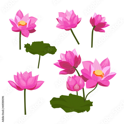 Set of Lotus flowers isolated on a white background. vector illustration.