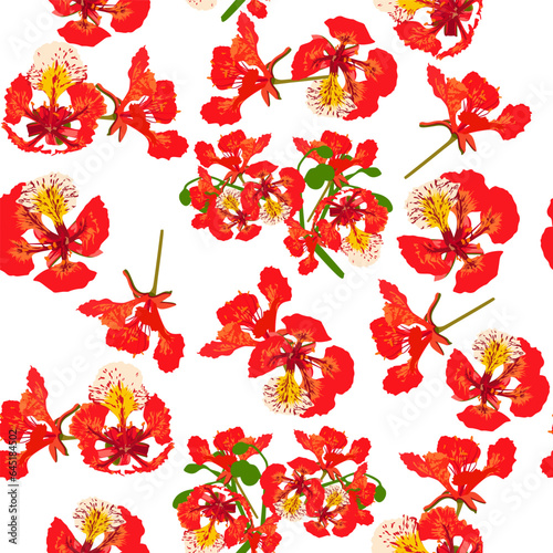A seamless pattern of colorful flame tree flowers. vector illustration. Colorful flower background. photo
