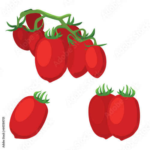 Set of Tomatoes isolated on a white background. vector illustration.