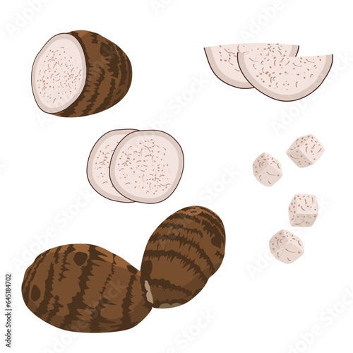 Set of Taro with sliced, cut, and pices isolated on a white background. vector illustration. photo