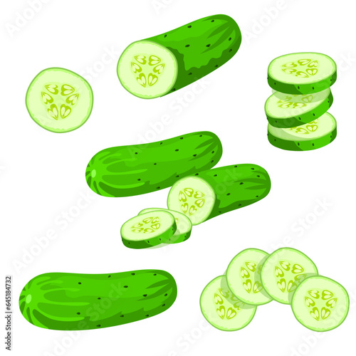 Set of cucumber isolated on white background. vector illustration.