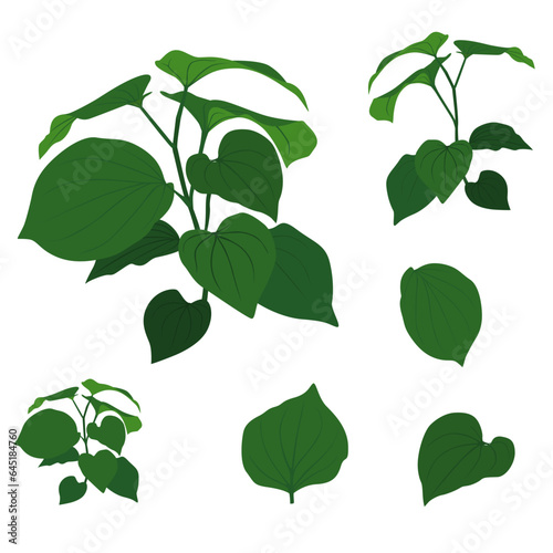 Set of Chaplu isolated on a white background. vector illustration.
