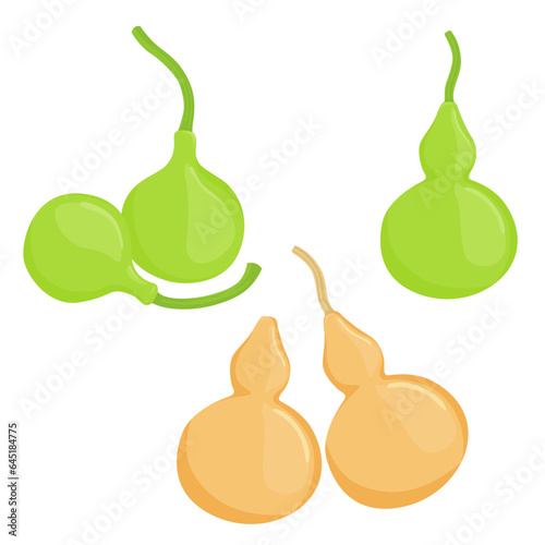 Set of Calabash or Bottle gourd (Lagenaria siceraria) isolated on a white background. vector illustration.