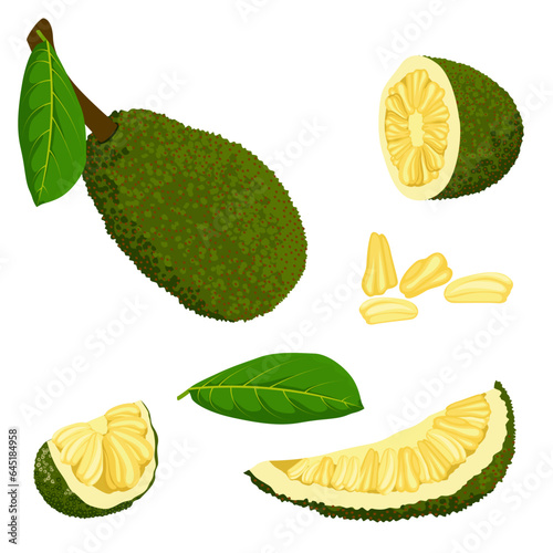 Foto Set of Jackfruits isolated on a white background