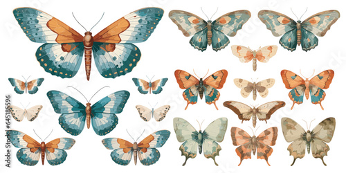 watercolor flying moth clipart for graphic resources