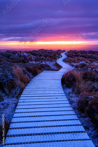 Pouakai track in winter, Mt. Taranaki, New Zealand	