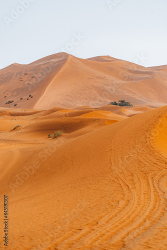 Sand texture in Morocco Sahara Merzouga Desert after a rainy day