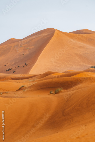 Sand texture in Morocco Sahara Merzouga Desert after a rainy day