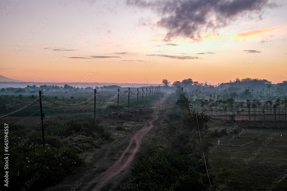 Φωτογραφία sunrise over the dirt road, sunrise at a village, sunrise over the field, view o