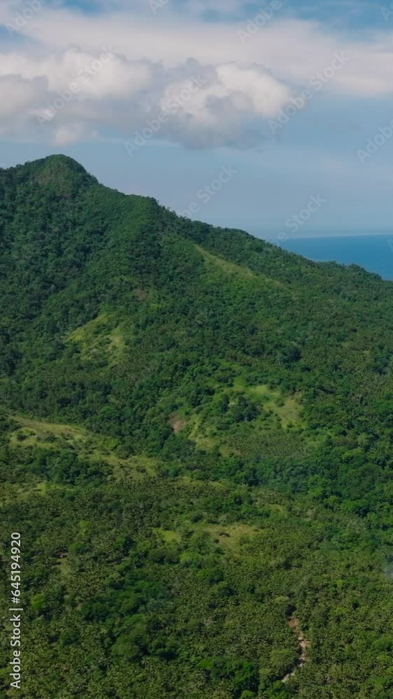 Aerial view of green foliage, tropical plants and trees covers mountains and ravine. Camiguin Island. Philippines. Vertical video. Aerial view of green foliage, tropical plants and trees covers mountains and ravine. Camiguin Island. Philippines. Vertical video.