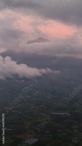 Wallpaper Mural Kayu Aro tea plantation and Kerinci volcano at sunset view from above. Tea estates in the tropics. Sumatra, Indonesia. Torontodigital.ca