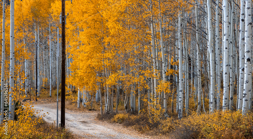 Panoramic view of scenic autumn alley in Wasatch mountain state park in northern Utah.