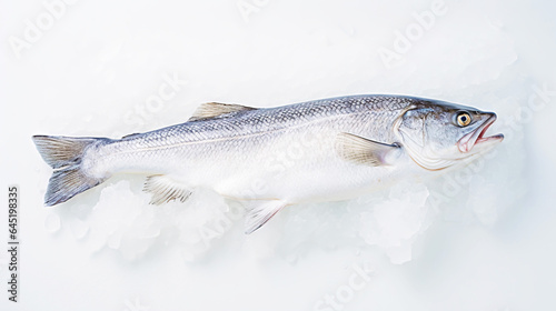 Fresh raw cod fish on ice. Seafood background. Generative AI photo