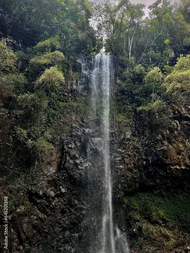 hidden waterfall in the jungle