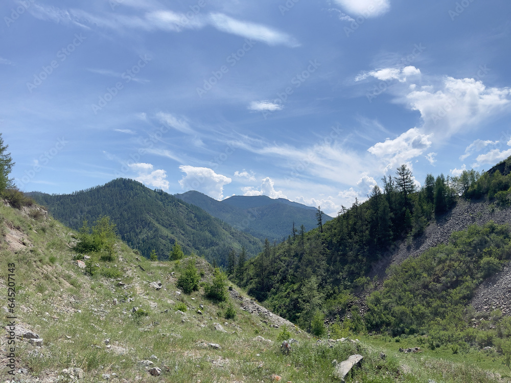 Mountain landscape with coniferous forest and blue sky with clouds