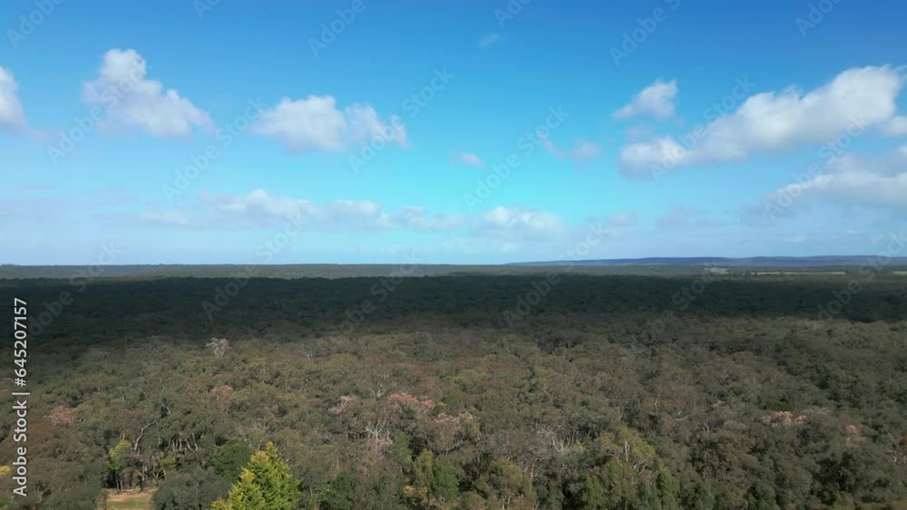 AERIAL Lift Above Great Otway National Park, Australia AERIAL Lift Above Great Otway National Park, Australia