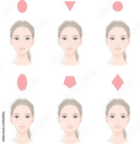 女性の顔のバランスのイラスト