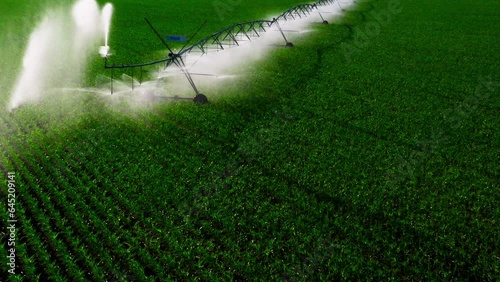 Aerial view pivot at work in potato field, watering crop for more growth. Center pivot system irrigation. Watering crop in field at farm. Modern irrigation system for land and vegetables growing on it