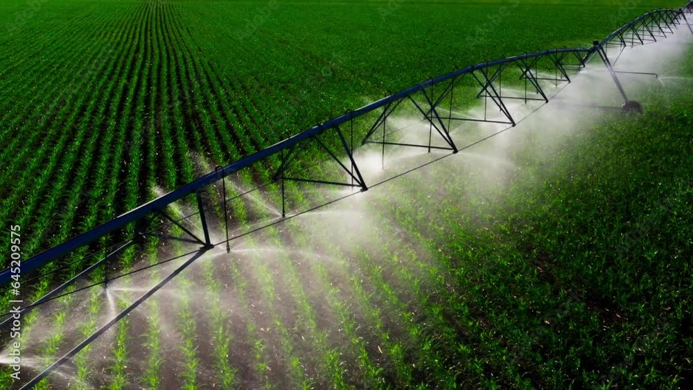 Aerial view pivot at work in potato field, watering crop for more growth. Center pivot system irrigation. Watering crop in field at farm. Modern irrigation system for land and vegetables growing on it