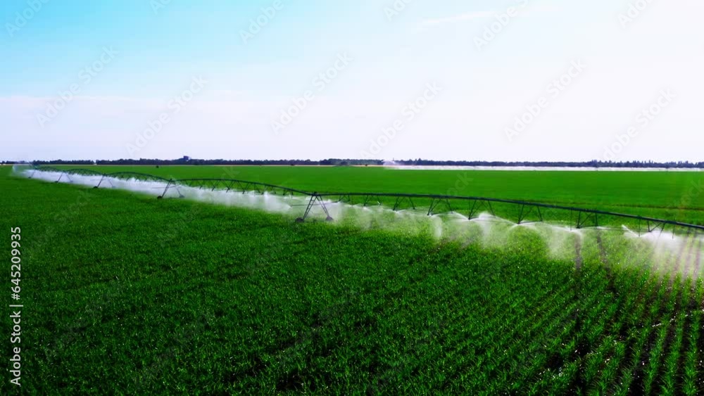 Aerial view pivot at work in potato field, watering crop for more growth. Center pivot system irrigation. Watering crop in field at farm. Modern irrigation system for land and vegetables growing on it