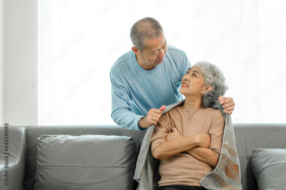 Affectionate senior Asian couple sharing warm embrace on the sofa, celebrating their enduring love and togetherness. Elderly husband and wife happy family Affectionate senior Asian couple sharing warm embrace on the sofa, celebrating their enduring love and togetherness. Elderly husband and wife happy family