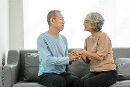 Affectionate senior Asian couple sharing warm embrace on the sofa, celebrating their enduring love and togetherness. Elderly husband and wife happy family