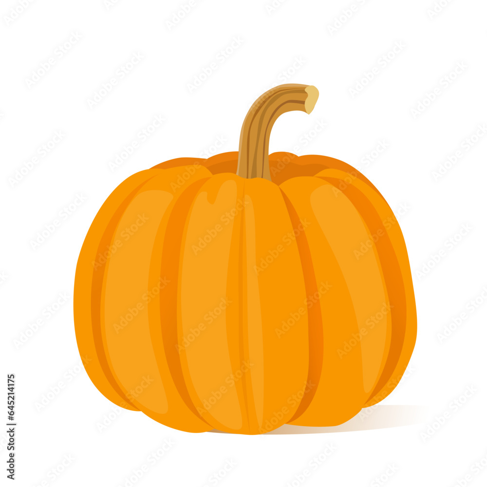 Obraz premium Orange pumpkins isolated on a white background. Vector illustration.