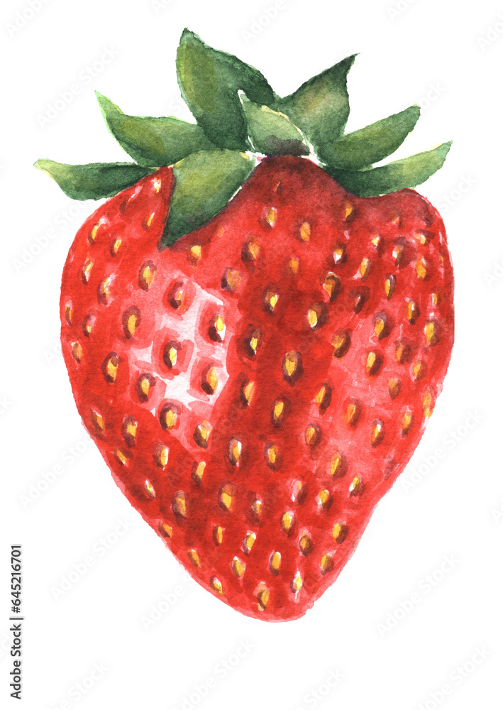 Red strawberry watercolor illustration. Fresh sweet berry isolated on white background Red strawberry watercolor illustration. Fresh sweet berry isolated on white background