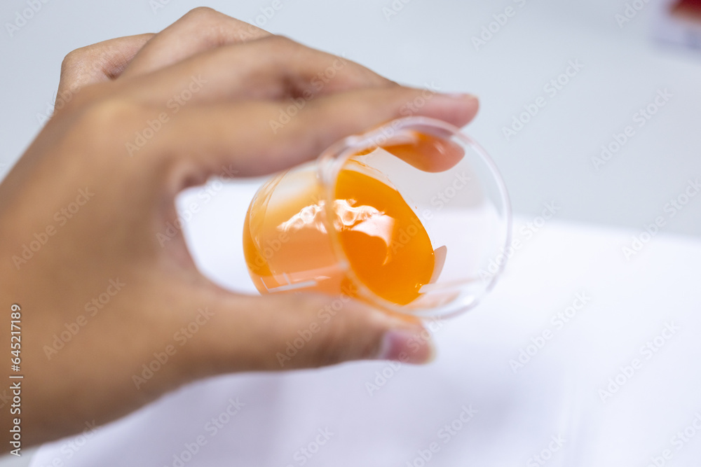 pH testing in food and Encapsulation Experiment example in the