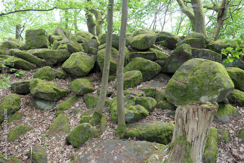 Ruhberg bei Girkenroth photo