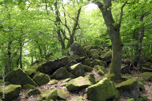 Ruhberg bei Girkenroth photo