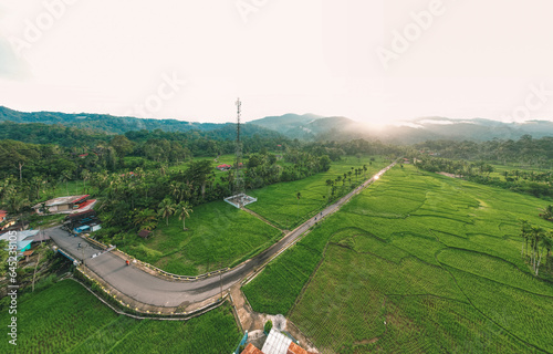 aerial view of sunset in the countryside with a straight road in the background and surrounded by green rice fields photo