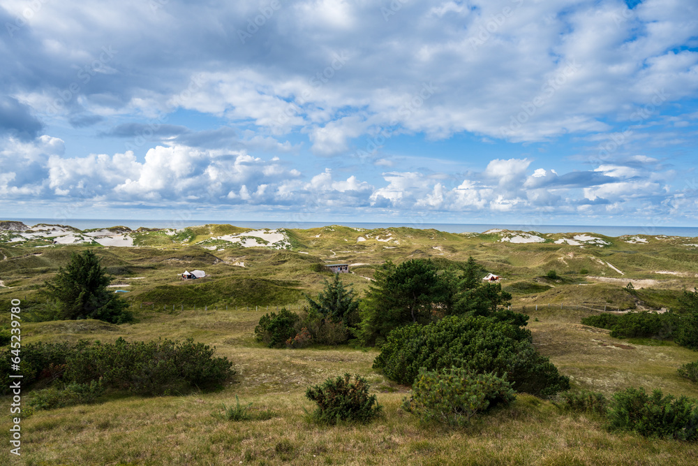 Insel Amrum die Dünen im Bereich des Leuchtturmes können zum Campen genutzt werden, am Horizont die Nordsee