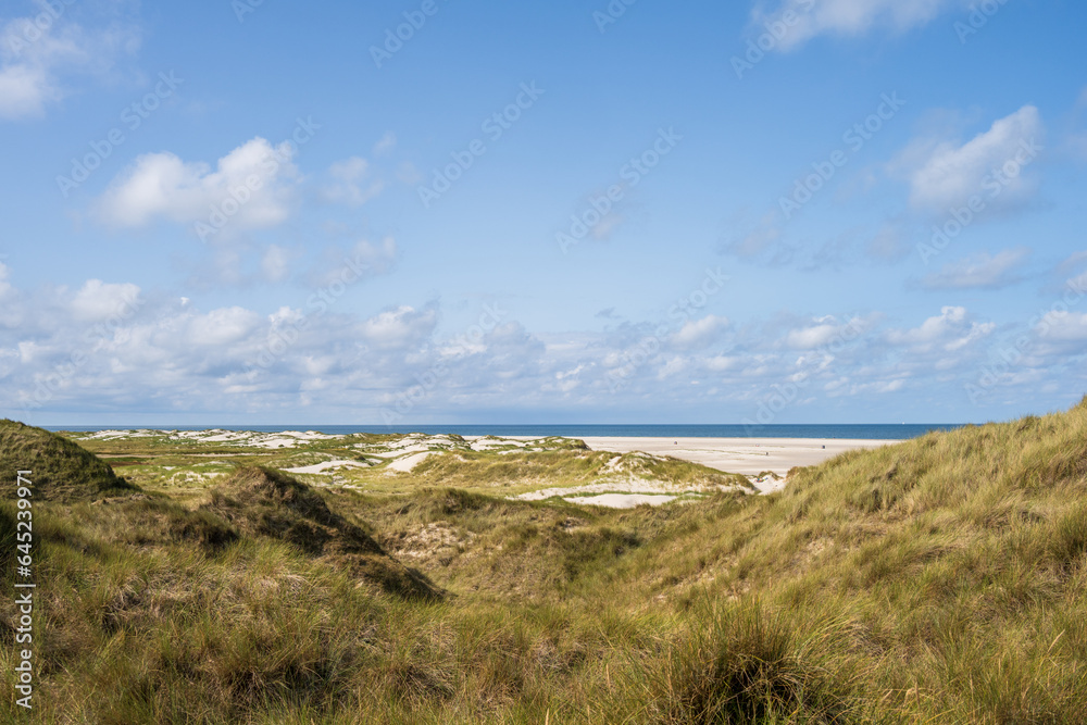 Dünenlandschaft auf der Nordseeinsel Amrum mit Blick auf die Nordsee