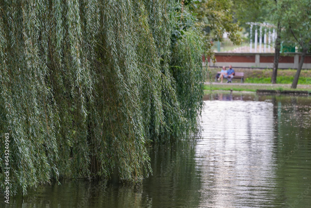 Naklejka premium artificial lake in a park. boating area. landscape.