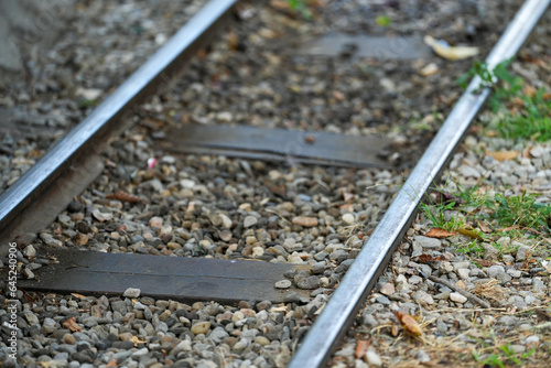 Wallpaper Mural miniature train tracks in a public park. detail. Torontodigital.ca